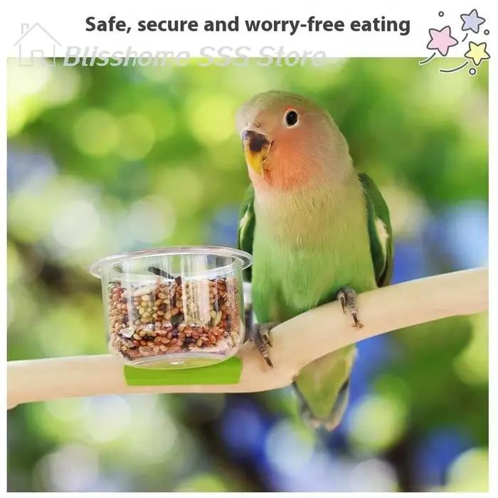 【S】Bol à nourriture pour perroquet pour l'alimentation et les soins quotidiens
