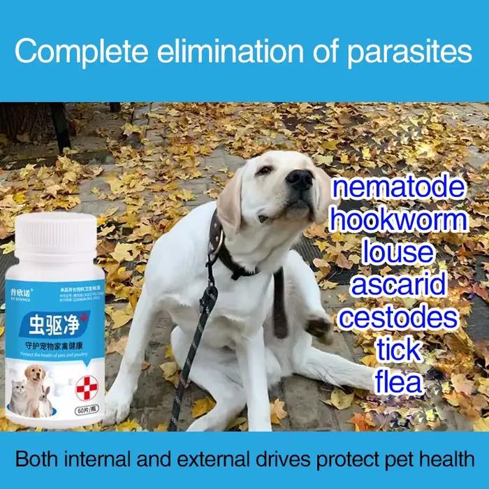 Chiens deworming, chats