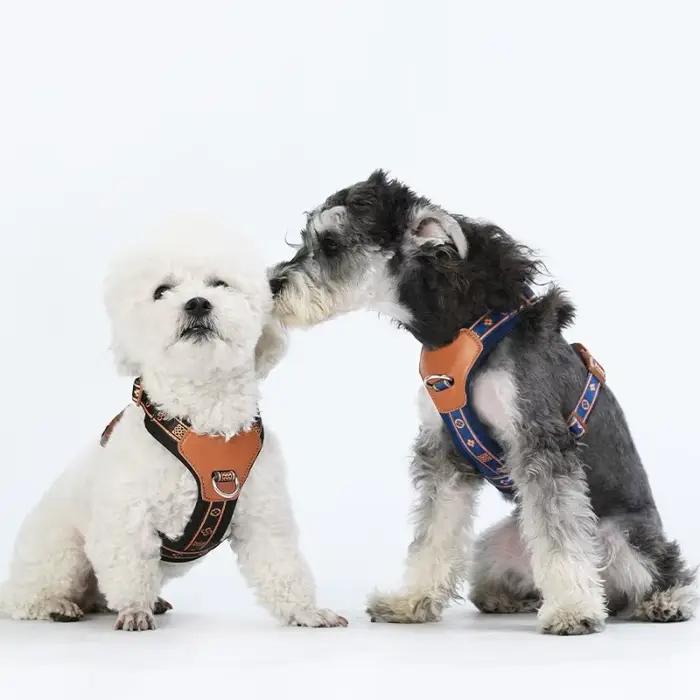 Harnais pour chien avec sangle Durable