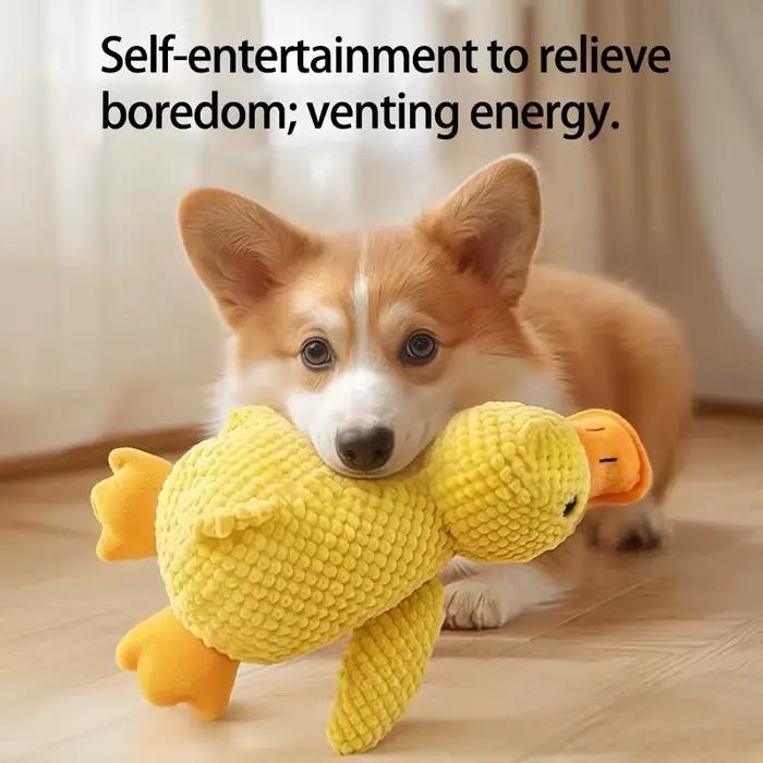 Jouets pour chiens, canards jaunes
