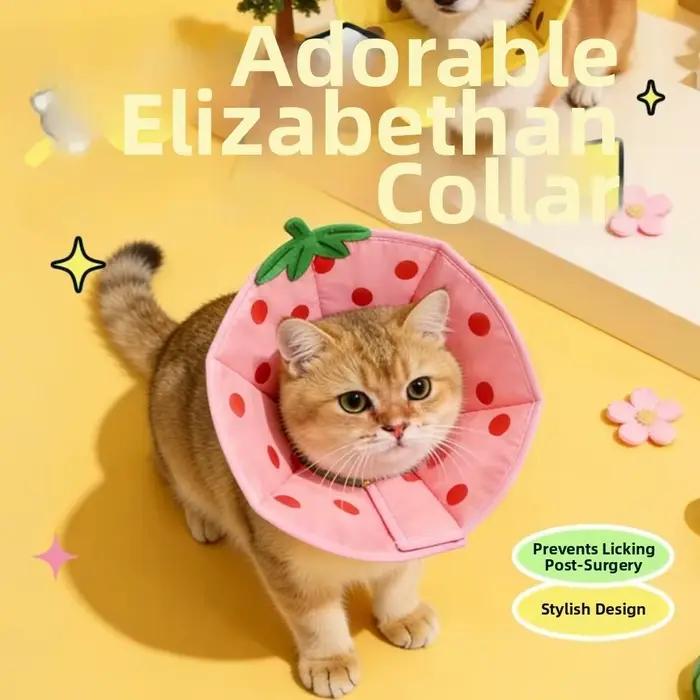 Collier de protection confortable anti-morsures et anti-griffures pour chat et chien, motif chat de dessin animé, type Elizabeth, avec motif abeilles